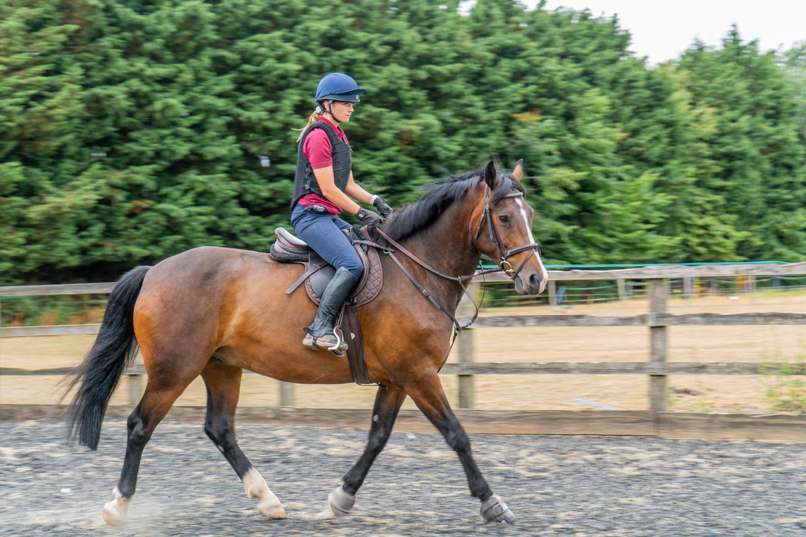 Hampden Vets_Equine (Web)-68