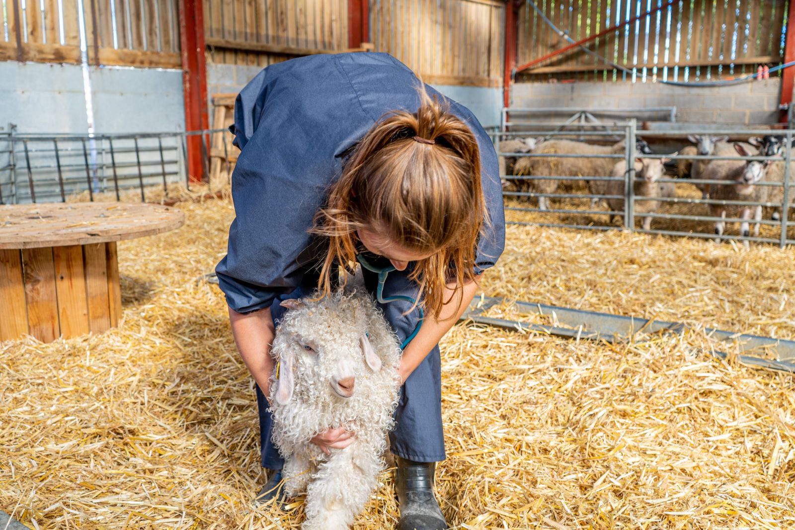 Hampden vets_farm (Web)-65(1)