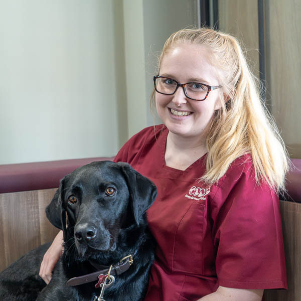- Hampden Vets SA (Web)-14 Maddie