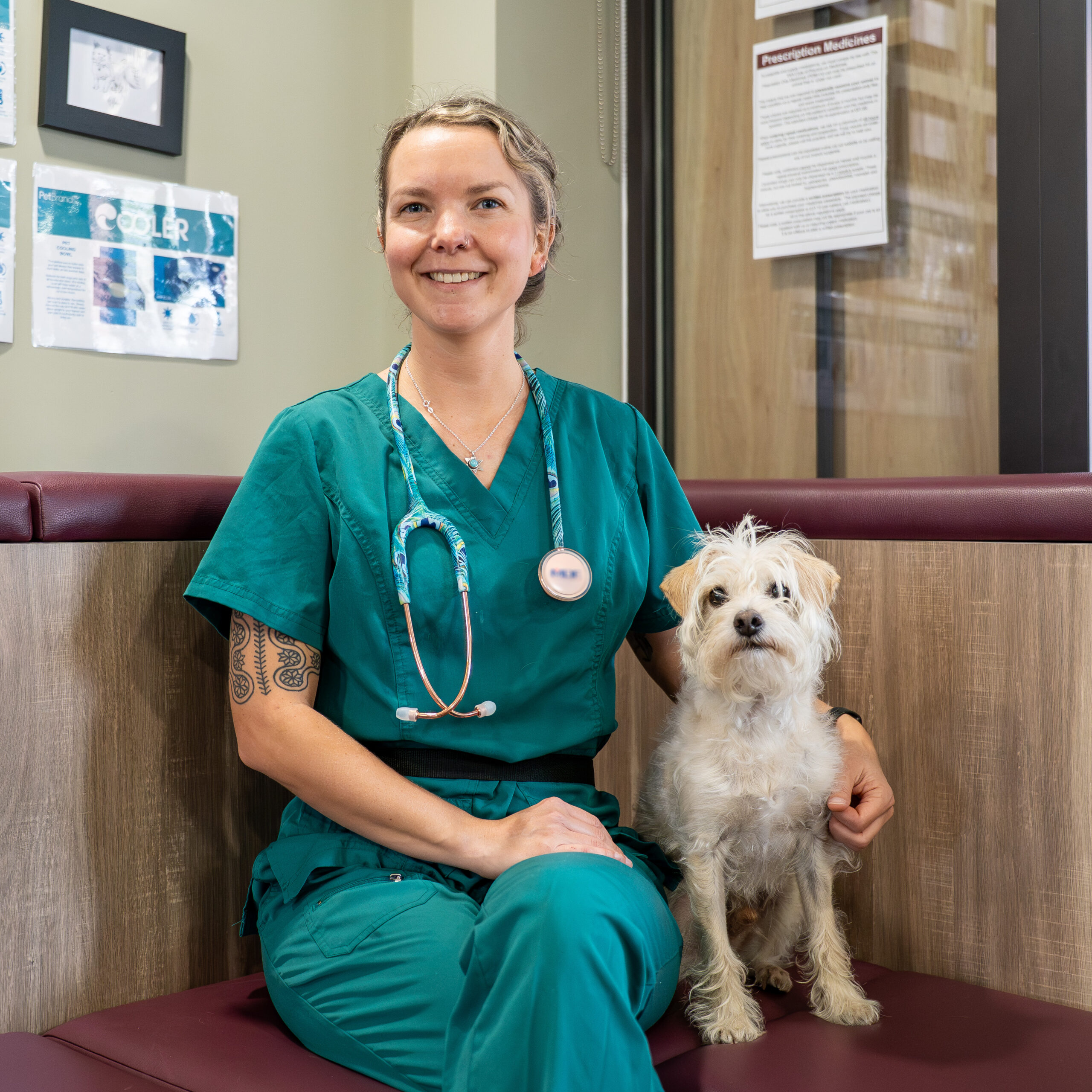 Heidi Pryce - Hampden Veterinary Hospital (HQ Print)