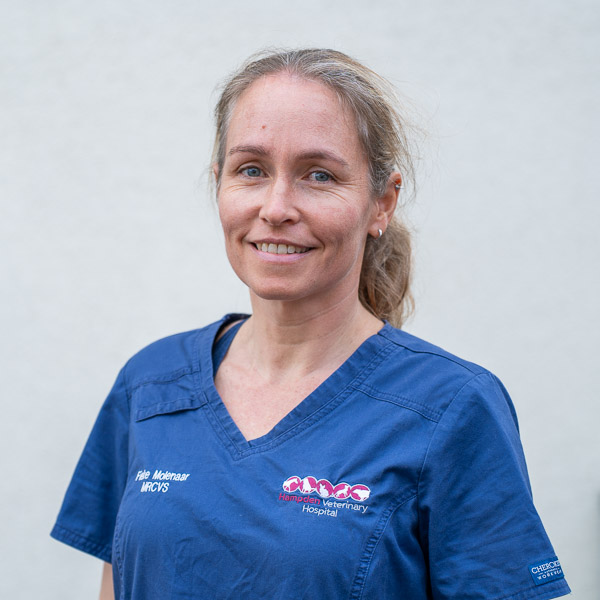 Fieke Molenaar - Hampden Veterinary Hospital (Web)
