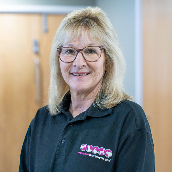 Hazel Harper - Hampden Veterinary Hospital (Web)